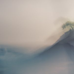 Bretagne, Brittany, Breizh, BZH, arbre, pin maritime, estampe, japonaise, zen, vent,