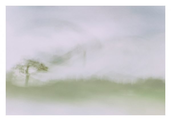 Petit bout de rêve - Le temps d'un haiku – Image 2
