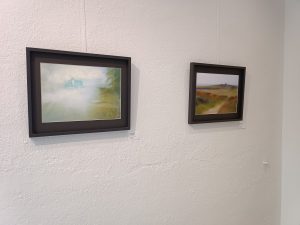 Exposition Manu Munier Photographie Cour des Arts, Vannes, Chambre des notaires