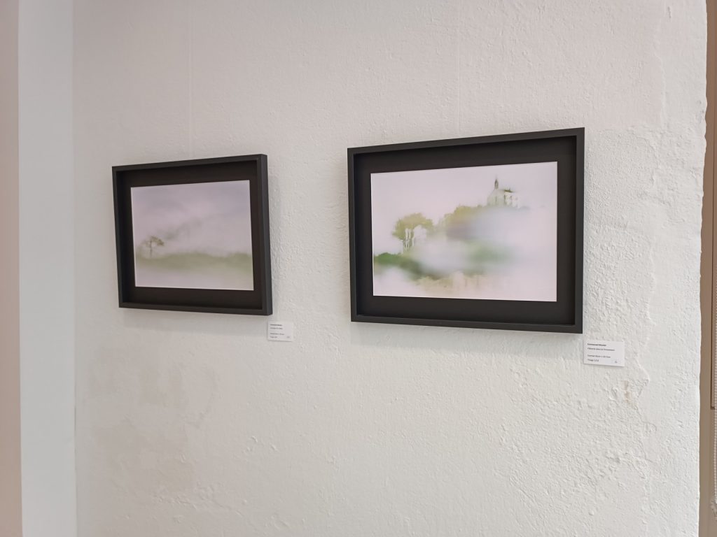 2025-09 Expo Cour des arts Vannes 16 Exposition Manu Munier Photographie Cour des Arts, Vannes, Chambre des notaires