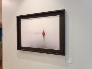 Exposition Manu Munier Photographie Cour des Arts, Vannes, Chambre des notaires