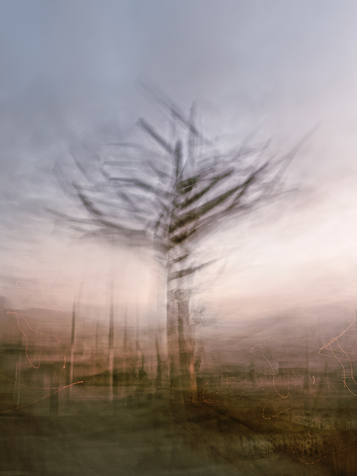 L'arbre du Gritche - vers Brest et au-delà Manu Munier Photographie photos abstraites et impressionnistes
