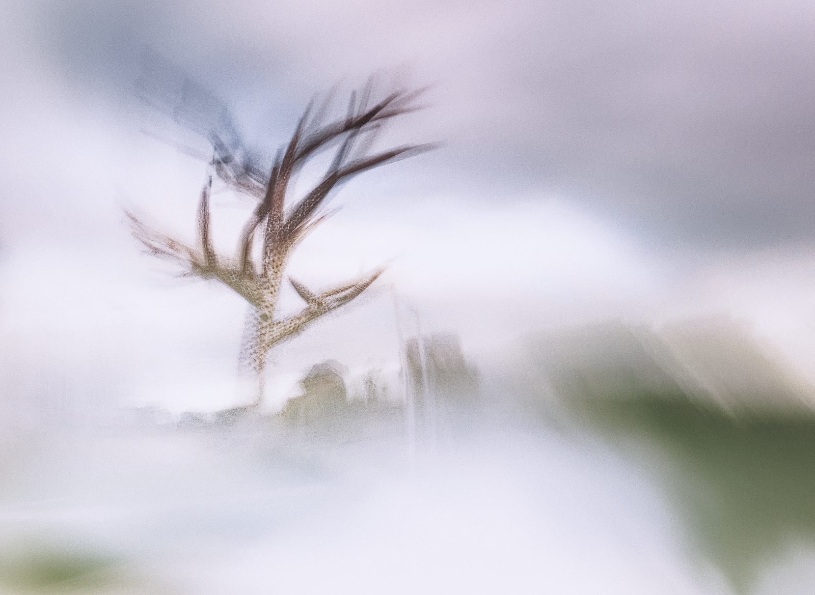Renaissance - vers Brest et au-delà Manu Munier Photos abstraites et impressionnistes