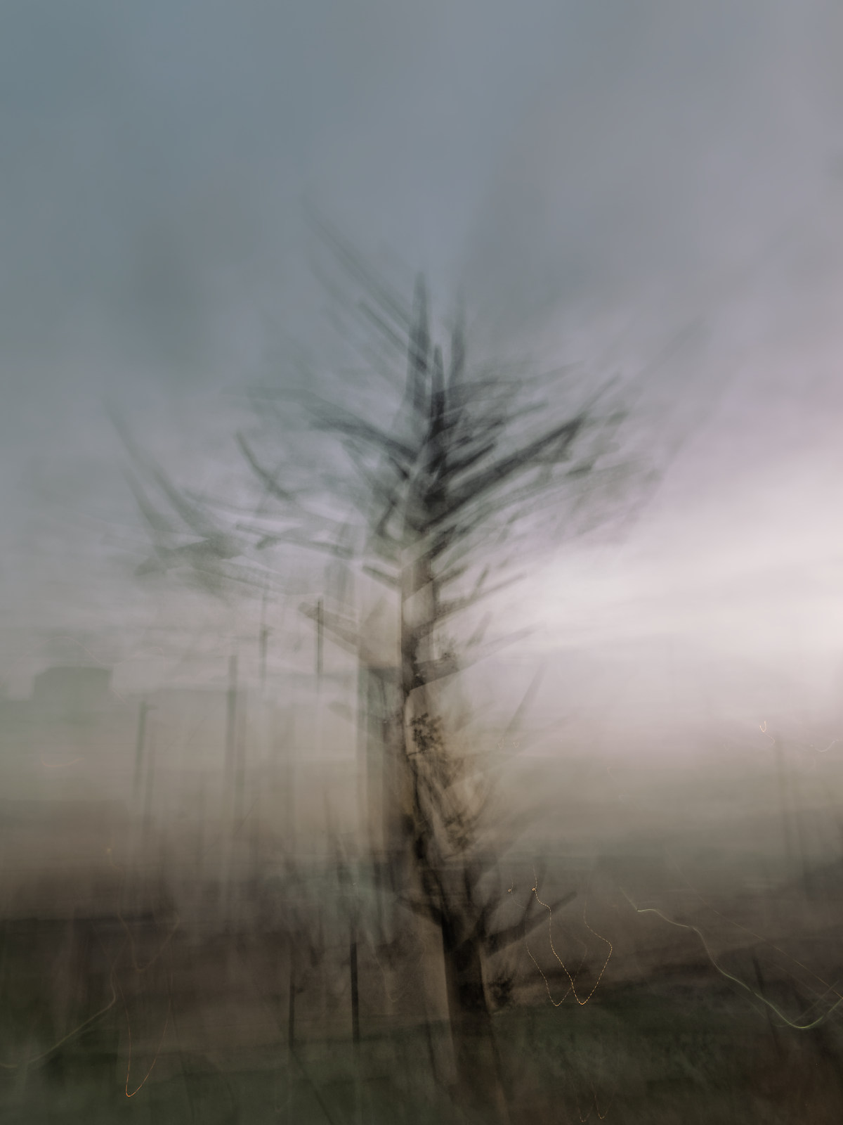 Yggdrasill - vers Brest et au-delà - Manu Munier Photographie photos abstraites et impressionnistes
